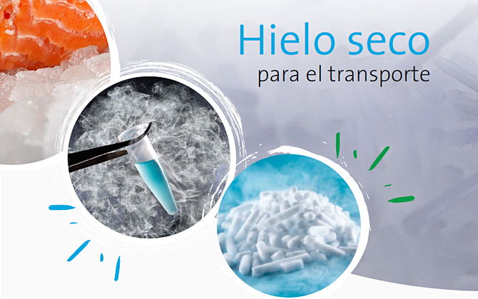 Catálogo Hielo Seco para el transporte
