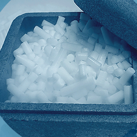 Comprar ahora →  Hielo Seco en pellets de 16 mm a 5kg